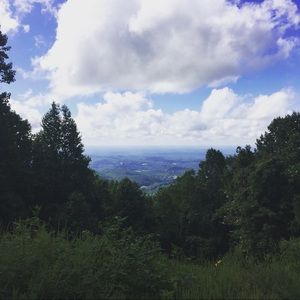 Meet your Posher, Carter